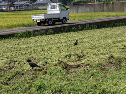 埼玉県からワークステイに参加いただきました_e0061225_11515556.jpg