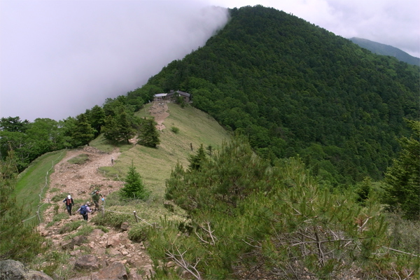 c0070528_02527.jpg