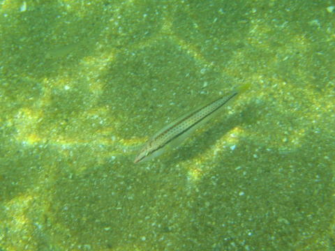 c0113733_2473895.jpg