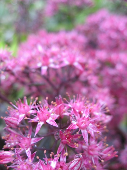 c0109235_225351100.jpg