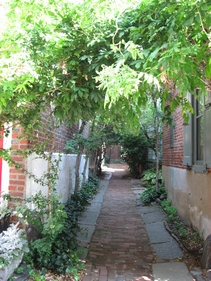 a0133338_64826.jpg