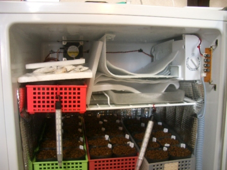 c0025140_12591710.jpg