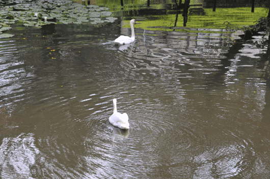 c0093046_14512743.gif