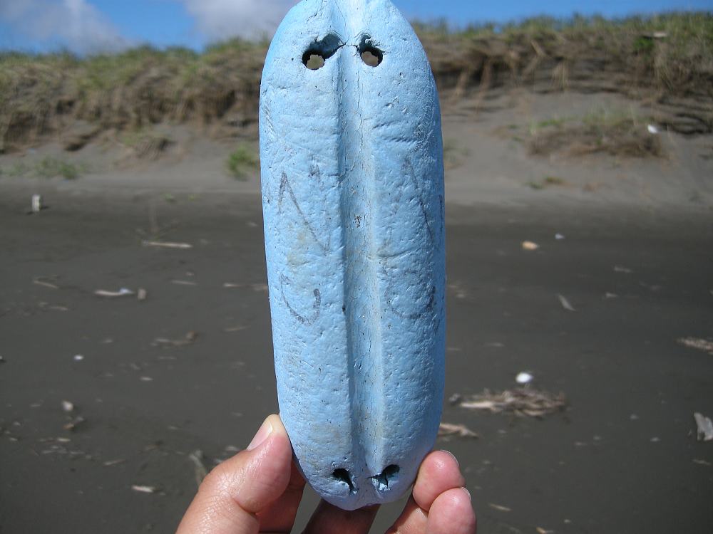 ウキウキ 顔文字か ウキウキ 浜歩き 山歩き