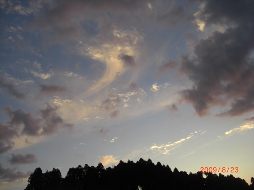 b0152049_14154533.jpg
