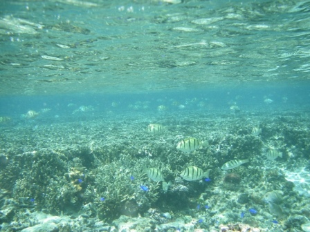 c0111557_22145986.jpg