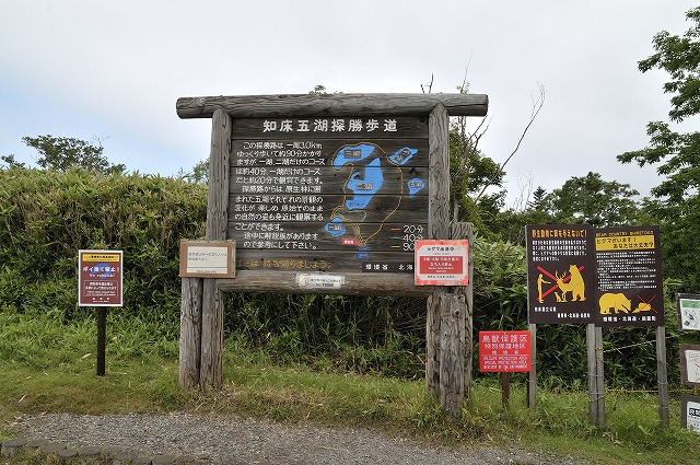 d0019260_16321413.jpg