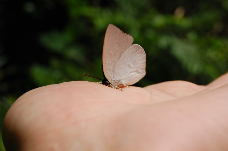 b0167762_14361010.jpg