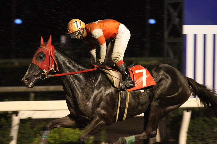 中西達也騎手、通算勝利1900勝達成～_a0077663_22104424.jpg
