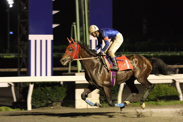 中西達也騎手、通算勝利1900勝達成～_a0077663_22111760.jpg