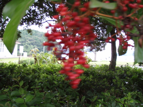 どどばしい_a0077071_125912100.jpg