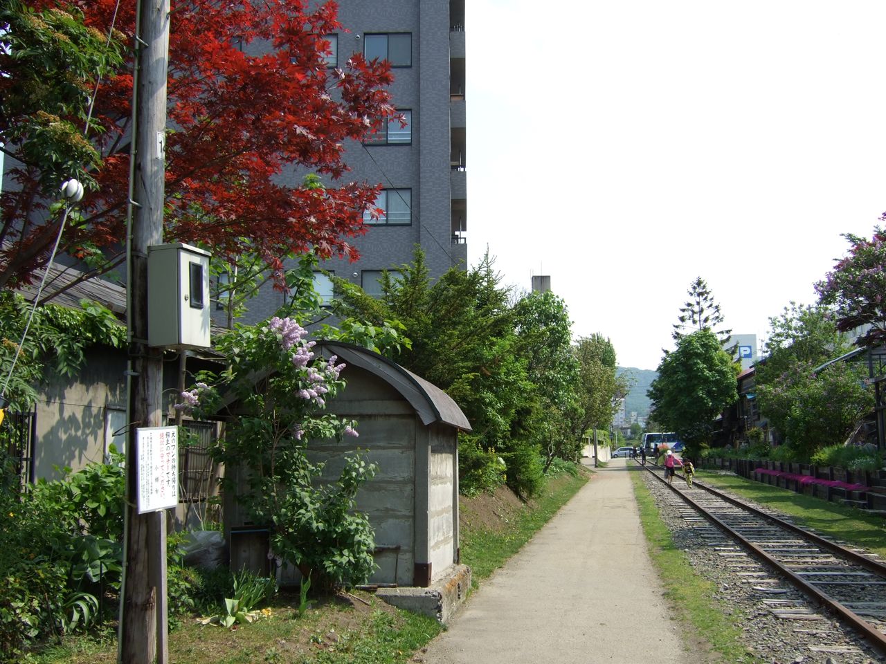 小樽の線路　〜手宮線跡〜_f0144675_21413761.jpg