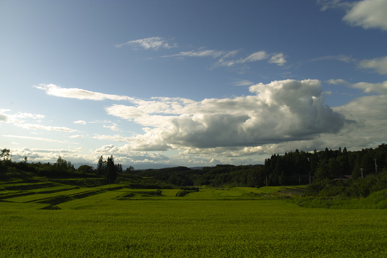 a0122676_22124216.jpg