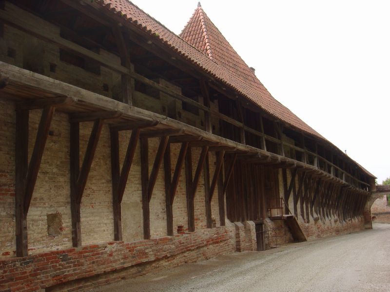 d0116376_1559266.jpg