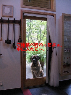 ザックの口角_d0133485_9234388.jpg
