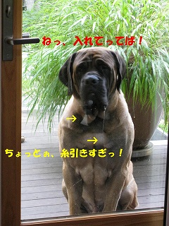 ザックの口角_d0133485_9235660.jpg
