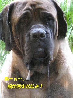 ザックの口角_d0133485_924521.jpg