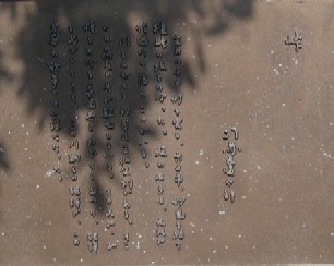 c0013687_11501176.jpg