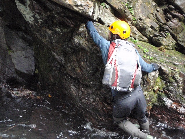 c0147398_22313067.jpg