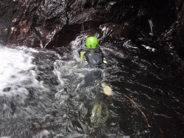 c0147398_22314479.jpg