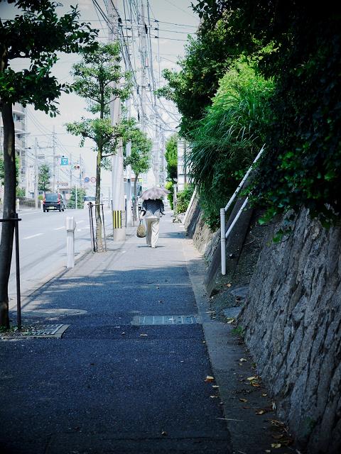 残暑歩く･･･_c0198903_11371688.jpg