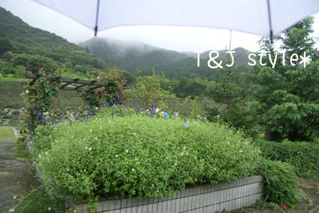 a0109207_2133278.jpg