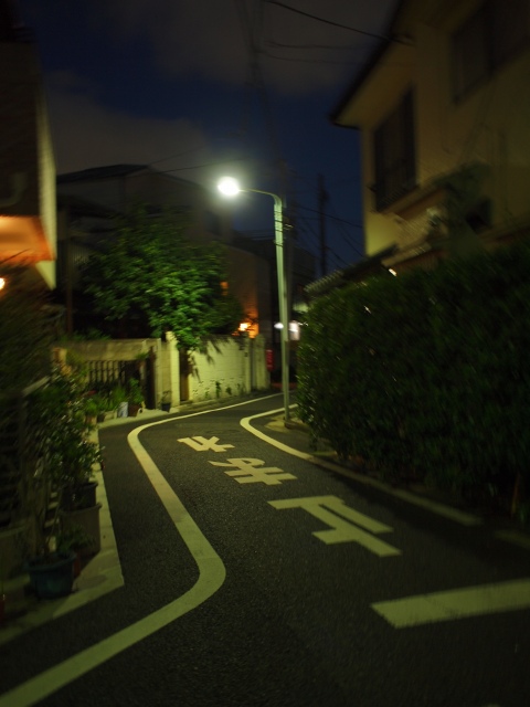 c0071611_164897.jpg