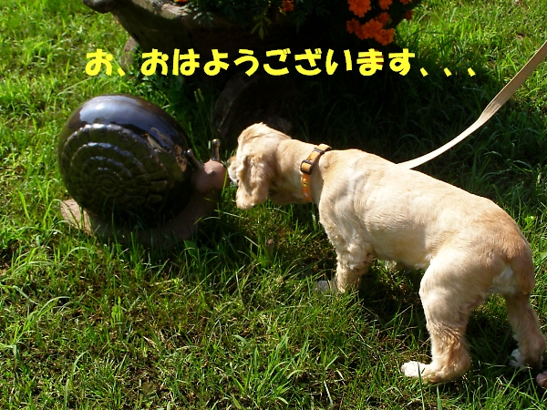 しょぼい内輪もめ　またの名を暴露合戦　後半_b0067012_125238.jpg