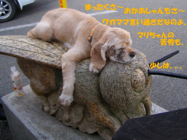 しょぼい内輪もめ　またの名を暴露合戦　後半_b0067012_1431340.jpg