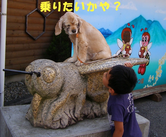 しょぼい内輪もめ　またの名を暴露合戦　後半_b0067012_1435778.jpg