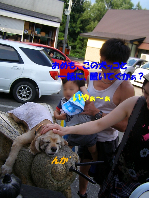 しょぼい内輪もめ　またの名を暴露合戦　後半_b0067012_1443441.jpg