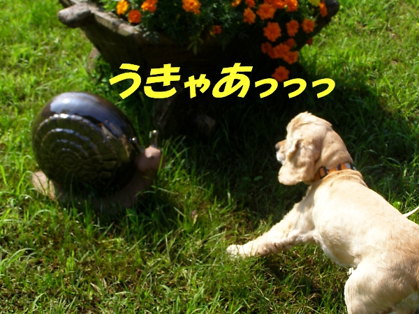 しょぼい内輪もめ　またの名を暴露合戦　後半_b0067012_1511224.jpg