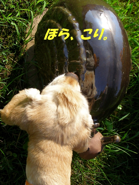 しょぼい内輪もめ　またの名を暴露合戦　後半_b0067012_1521558.jpg