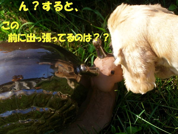 しょぼい内輪もめ　またの名を暴露合戦　後半_b0067012_1523110.jpg
