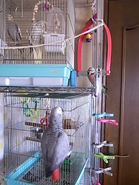 c0133013_20141067.jpg