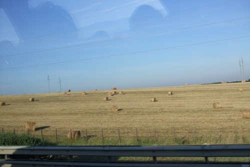 d0055013_3291646.jpg