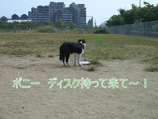 e0179321_17362532.jpg