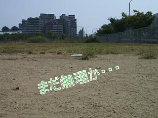 e0179321_1737521.jpg