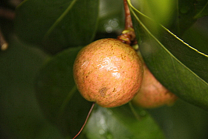b0165522_1952218.jpg