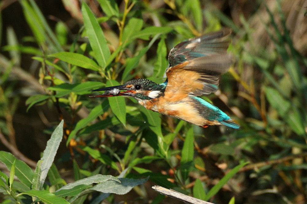 c0020423_14372173.jpg