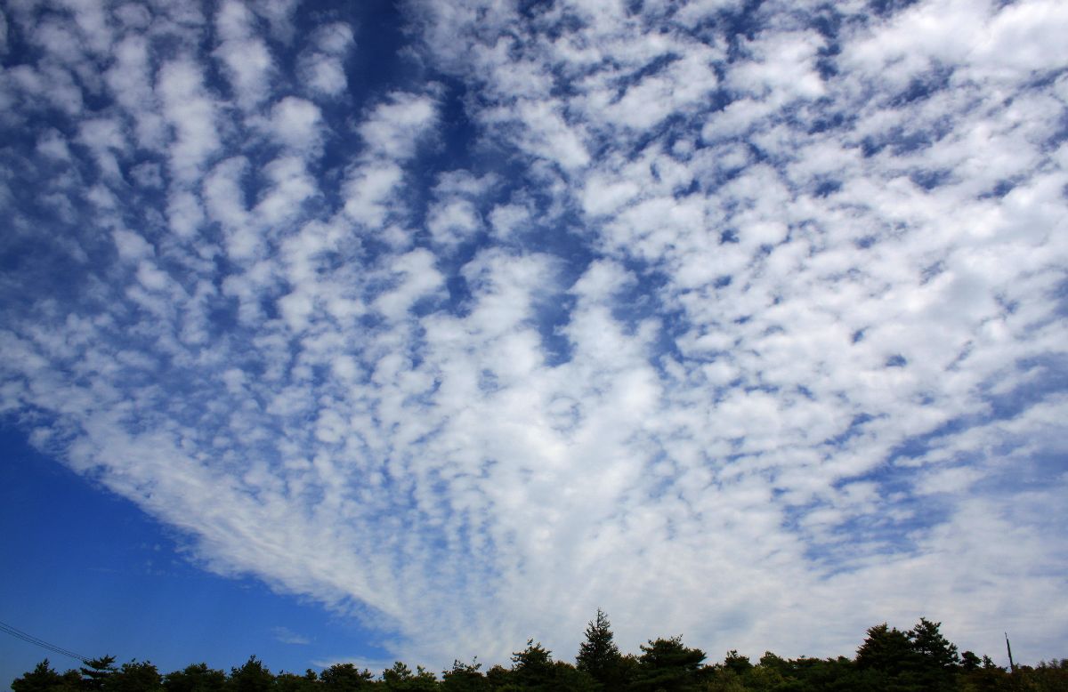 c0104227_91434.jpg