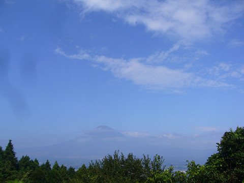 b0170931_20532912.jpg