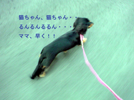 c0117831_2130133.jpg