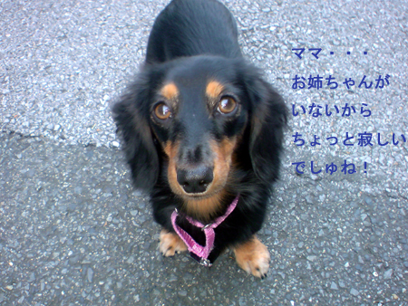 c0117831_2130369.jpg