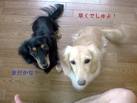 c0117831_21404815.jpg