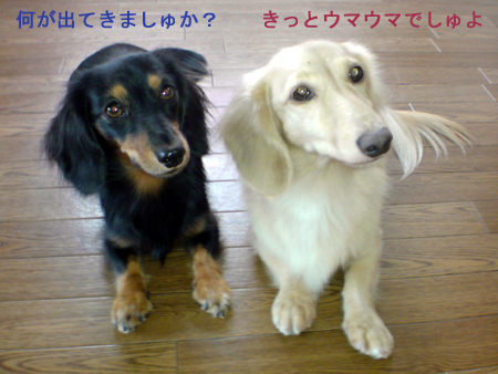 c0117831_2141090.jpg