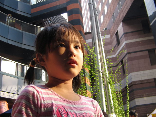 a0137132_17545839.jpg