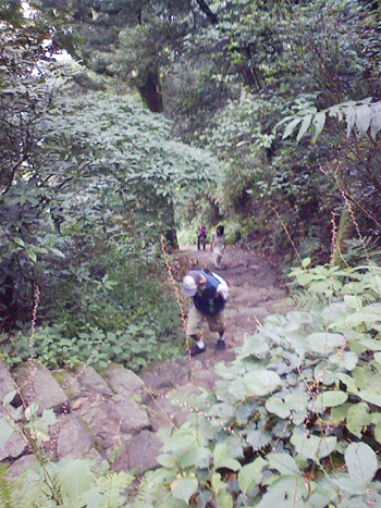 a0129233_1757396.jpg