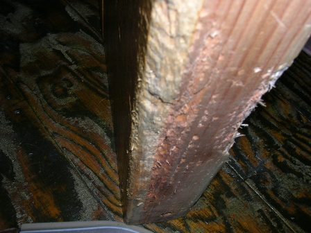 c0177238_1851566.jpg