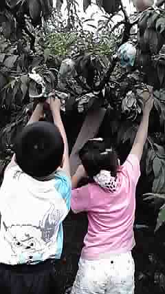 a0106340_1743261.jpg